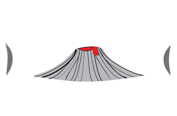 Electro Hawaiian