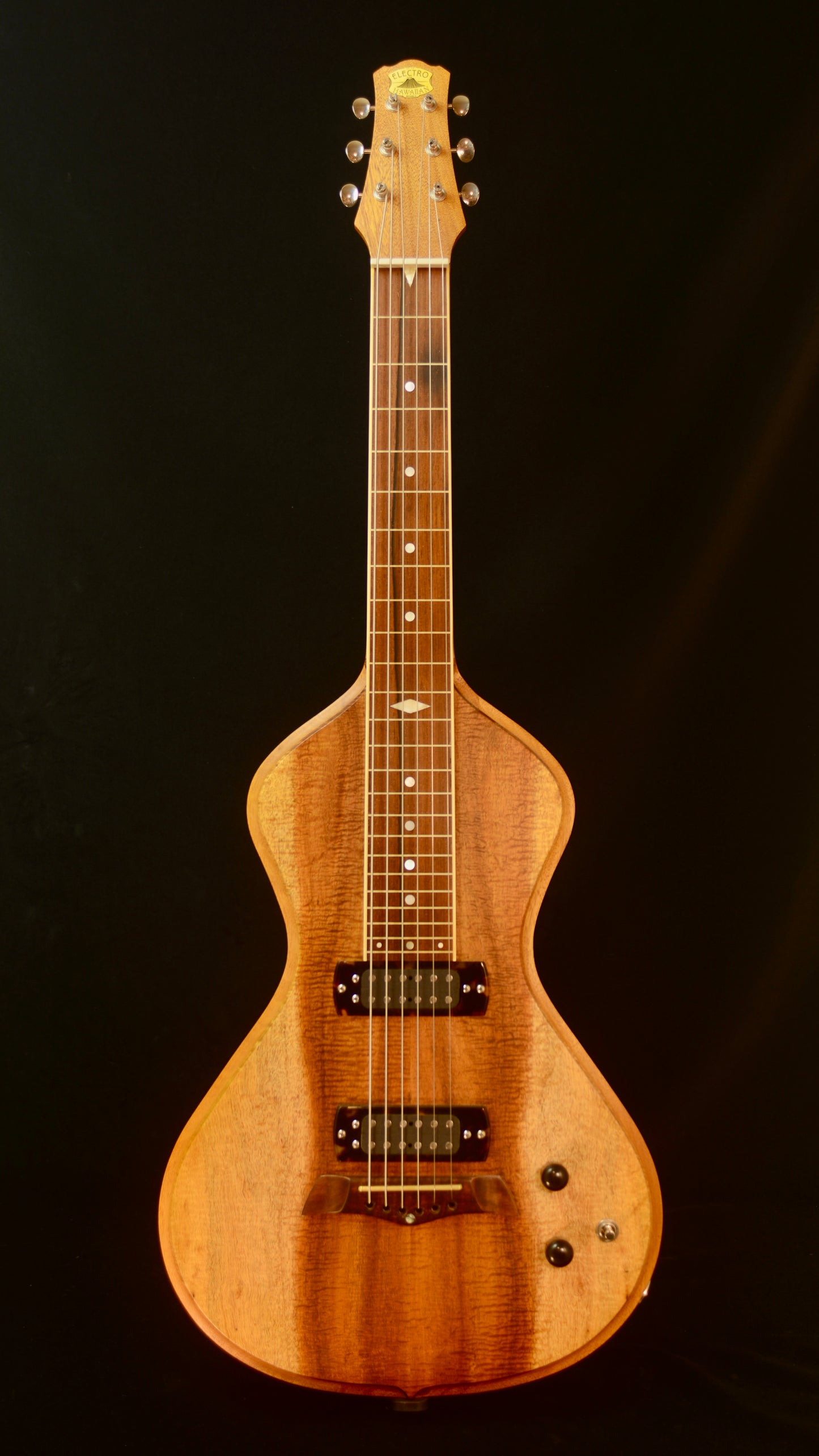 USA Asher #1394 Electro Hawaiian Model 6-String Lap Steel Slide Guitar
