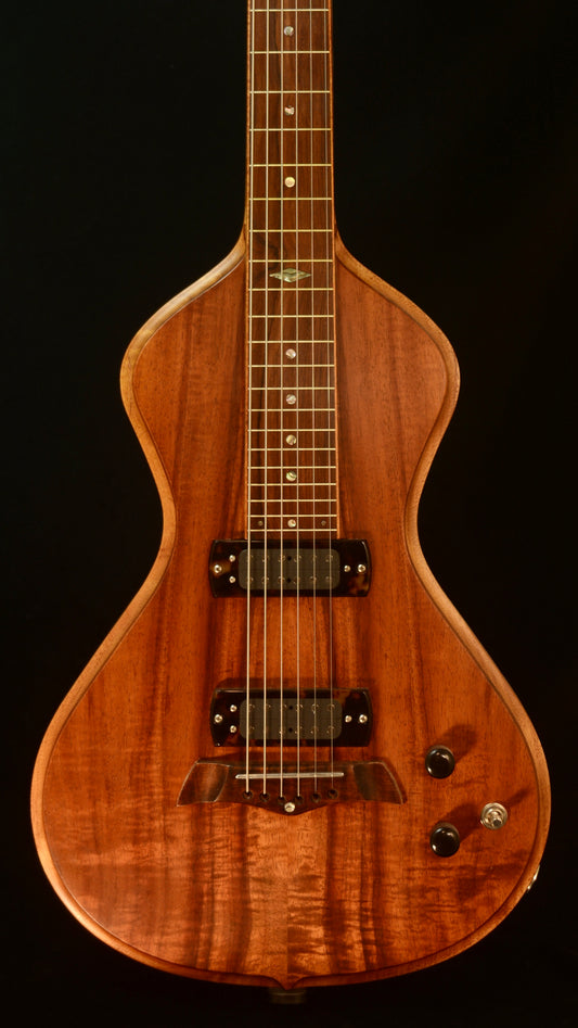 USA Asher #1395 Electro Hawaiian Model 6-String Lap Steel Slide Guitar