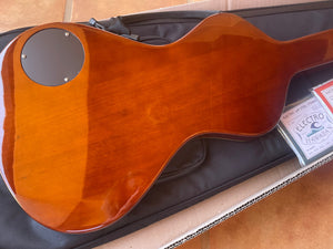 FACTORY SECOND 2023 Electro Hawaiian® Junior Lap Steel Gold Top with Gig Bag EXTRA STRINGS INCLUDED!!